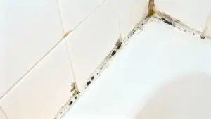 Muffa nera visibile lungo la giuntura tra piastrelle e vasca da bagno