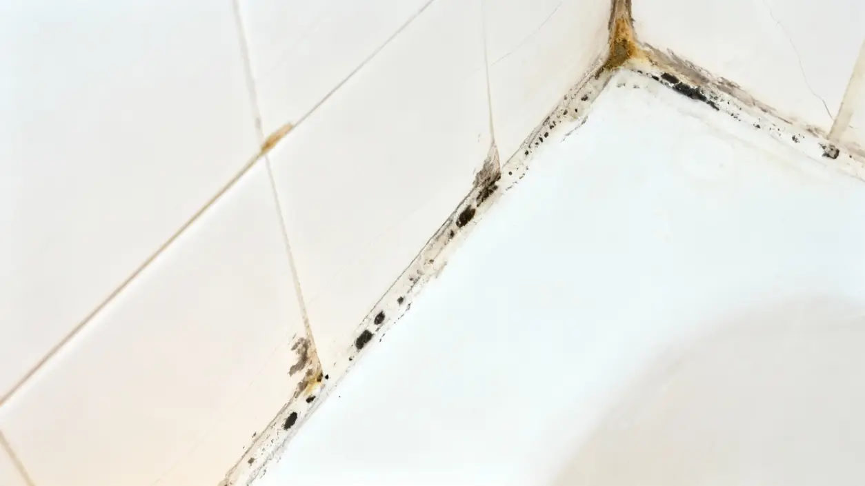 Muffa nera visibile lungo la giuntura tra piastrelle e vasca da bagno